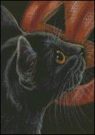(image for) Halloween Black Cat & Pumpkin 2